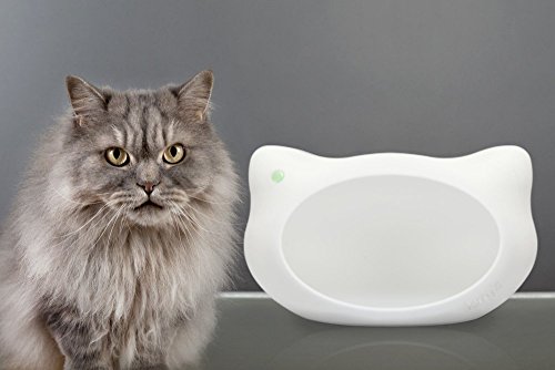 Design Katzenhöhle/Katzenbett/Katzenhaus Jerry (weiß) aus Kunststoff Modell 2014 von jerry's