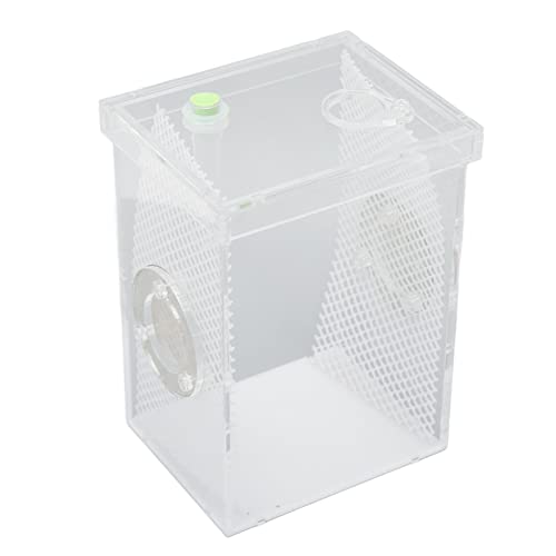 Reptilien-Futterbox Hochtransparenter Mini-Reptilien-Insektengehege Tank Acryl Feuchtigkeitsspendend Sicher Belüftet für Kleine Reptilien für Gottesanbeterin für Grillen (L) von jerss