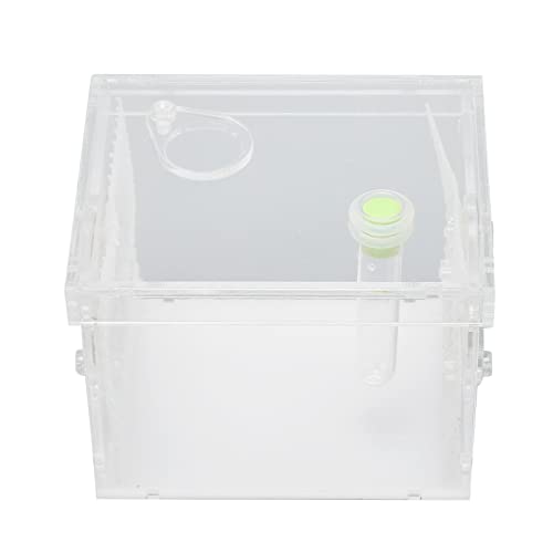 Reptilien-Futterbox Hochtransparenter Mini-Reptilien-Insektengehege Tank Acryl Feuchtigkeitsspendend Sicher Belüftet für Kleine Reptilien für Gottesanbeterin für Grillen (S) von jerss