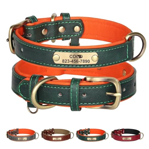 Hundehalsband, personalisierbar, mit Namensschild, Hundehalsband, Hundehalsbänder für mittelgroße Hunde, Welpenhalsband, mittelgroßes Hundehalsband, personalisierter Haustiername und Telefonnummer, Hundehalsband, personalisierbar, mit Namensschild, Hundehalsband, Hundehalsbänder für mittelgroße Hunde, Welpenhalsband, mittelgroßes Hundehalsband, personalisierter Haustiername und Telefonnummer, von jfs
