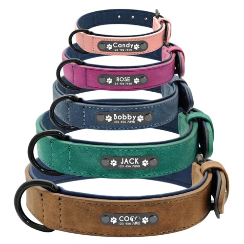 Hundehalsband mit Haustiernamen und Telefonnummer, Hundehalsbänder für kleine Hunde, Hundehalsband mit Namen, personalisierbares Hundehalsband (L) von jfs