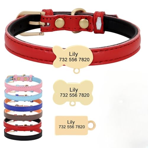 jfs Katzenhalsband, personalisierbar, personalisierbar, Katzenhalsband, graviert, Hundehalsband mit Namen, Roam-Hundehalsband (S) von jfs