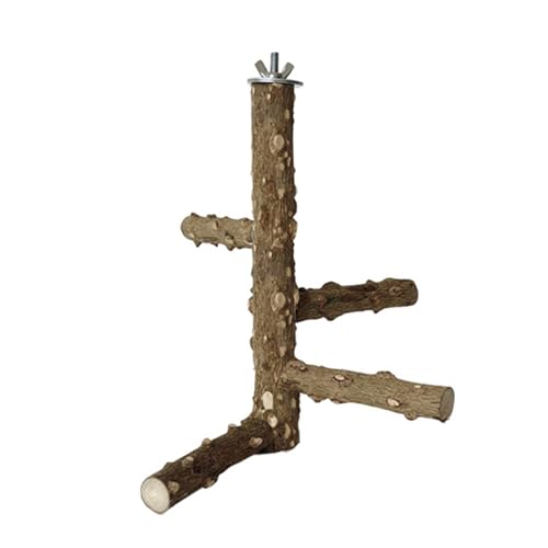 Kletterleiter Hängeringe Vogelspielzeug Haltbarkeit Holz Vogel Papageien Plattform zum Spielen Kletterleiter Hängeringe Vogelspielzeug Haltbarkeit Holz Vogel Papageien Plattform zum Spielen von jiingekk