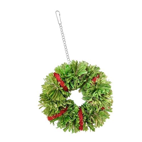jiingekk Kauspielzeug für Kleintiere für Vögel, Papageien, Kauspielzeug, buntes Luffa-Spielzeug zum Kauen, Zähneknirschen jiingekk Kauspielzeug für Kleintiere für Vögel, Papageien, Kauspielzeug, buntes Luffa-Spielzeug zum Kauen, Zähneknirschen von jiingekk