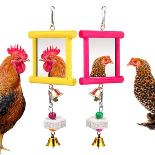 Vogelspiegel mit Metallglocken, Nymphensittich, Sittich, Spiegel für Käfig, Vogelspielzeug, Schaukel A7N9 für Papageienzubehör, Käfig Conure Vogelspiegel mit Metallglocken, Nymphensittich, Sittich, Spiegel für Käfig, Vogelspielzeug, Schaukel A7N9 für Papageienzubehör, Käfig Conure von jileijar