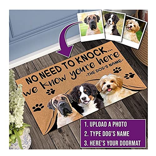 Individuelle Fußmatte, personalisierbare Geschenke, Textname, Haustier, Hund, Katze, Foto, Willkommensmatte, für Innen- und Außenbereich, Teppich, Fußmatte, personalisierbar, 50 x 80 cm Individuelle Fußmatte, personalisierbare Geschenke, Textname, Haustier, Hund, Katze, Foto, Willkommensmatte, für Innen- und Außenbereich, Teppich, Fußmatte, personalisierbar, 50 x 80 cm von jinfu