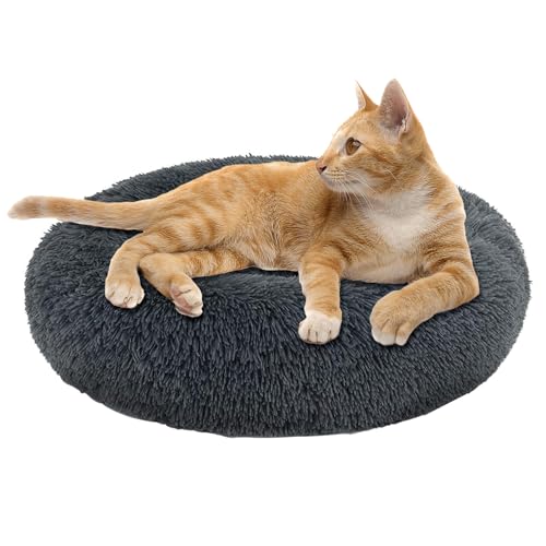 jiuzcare Katzenbett 50x50 cm Haustierbett für Kleine Hunde und Katzen Rund Donut Plüsch Kuschelbett Hundebett Katzenbett Waschbar Flauschig Hundekissen Katzenkissen, Dunkelgrau von jiuzcare