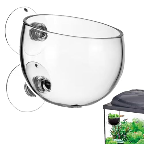 jlceh Wasserpflanzentöpfe – Aquarium-Tank für lebende Pflanzen – Wasser-Pflanzgefäß, Wasserpflanzen-Becher, lebende Pflanztöpfe, rote Garnelen, lebende Pflanzen, Aquariumhalter jlceh Wasserpflanzentöpfe – Aquarium-Tank für lebende Pflanzen – Wasser-Pflanzgefäß, Wasserpflanzen-Becher, lebende Pflanztöpfe, rote Garnelen, lebende Pflanzen, Aquariumhalter von jlceh