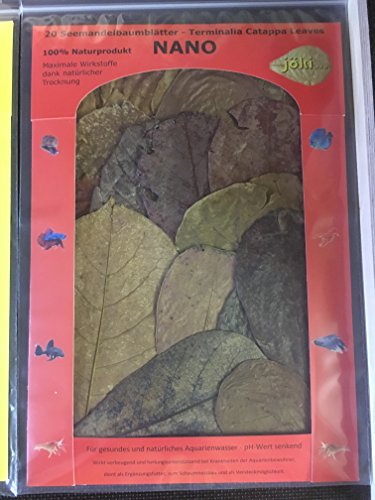 20 Seemandelbaumblätter 10-15cm Terminalia Catappa Leaves - gesundes Wasser im Aquarium 20 Seemandelbaumblätter 10-15cm Terminalia Catappa Leaves - gesundes Wasser im Aquarium von jöki.com