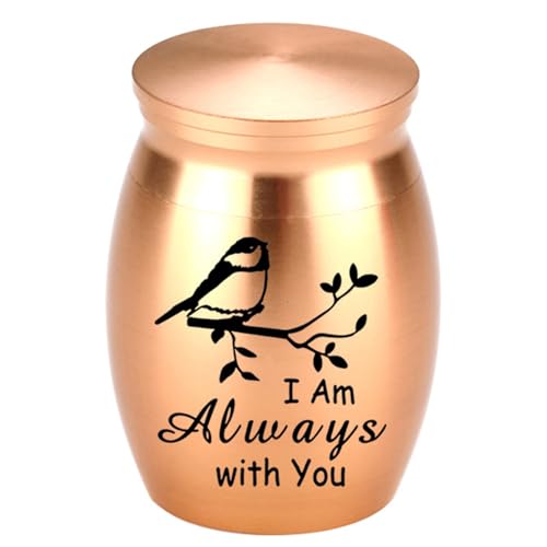 jojnsha Haustier Urne Sarg Für Ascheenfävigremation Armreifen Sarg Sympathie Geschenke Vorräte Für Haustier Memorial Schmuckzubehör Ashes Container Halskette jojnsha Haustier Urne Sarg Für Ascheenfävigremation Armreifen Sarg Sympathie Geschenke Vorräte Für Haustier Memorial Schmuckzubehör Ashes Container Halskette von jojnsha