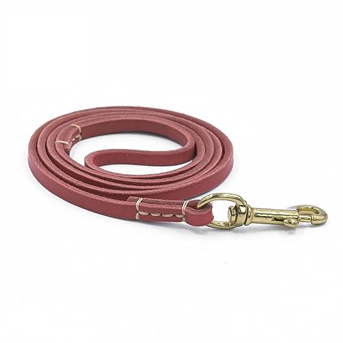 150/200 cm mehrfarbige Hundeleine, Anti-Ausbruchsseil, für kleine und große Hunde und Katzen 150/200 cm mehrfarbige Hundeleine, Anti-Ausbruchsseil, für kleine und große Hunde und Katzen von jojobasec