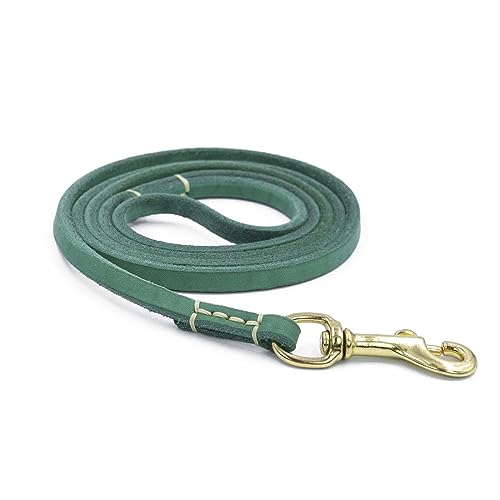 150/200 cm mehrfarbige Hundeleine, Anti-Ausbruchsseil, für kleine und große Hunde und Katzen 150/200 cm mehrfarbige Hundeleine, Anti-Ausbruchsseil, für kleine und große Hunde und Katzen von jojobasec