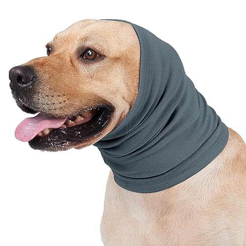 Der Ohrenschutz für Hunde bietet Komfort und Komfort in ängstlichen Situationen wie Gewitter oder Der Ohrenschutz für Hunde bietet Komfort und Komfort in ängstlichen Situationen wie Gewitter oder von jojobasec