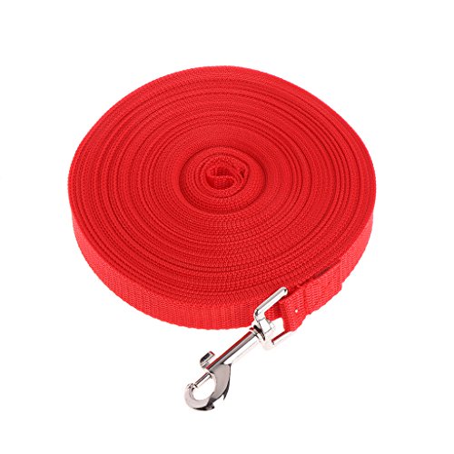 Hundeleine mit Griff, Metallclip, bunt, Nylon, für kleine und große Hunde, Training, Welpen, Spazierengehen, 15 m Hundeleine mit Griff, Metallclip, bunt, Nylon, für kleine und große Hunde, Training, Welpen, Spazierengehen, 15 m von jojobasec