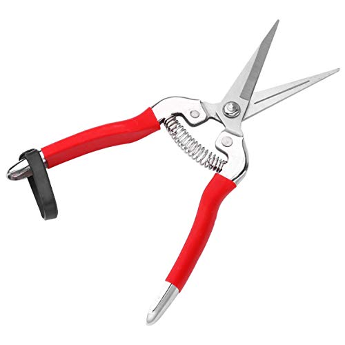 jojofuny Gartenschere Landschaftsbauwerkzeug Trimmen Hecke Pfropfwerkzeuge Schere Allzweck Küchenschere Schneiden Allzweckschere Obstbaumschere Rostfreier Stahl Rot von jojofuny