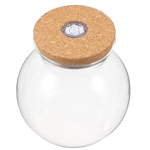 jojofuny Glas Terrarium Jar Vase Glasvase Umweltfreundliche Flasche Förderung Flasche mit Korkdeckel und LED-Lichtpflanze Terrarium für die Sukkulente Fern Moss Air Pflanzenschirm von jojofuny