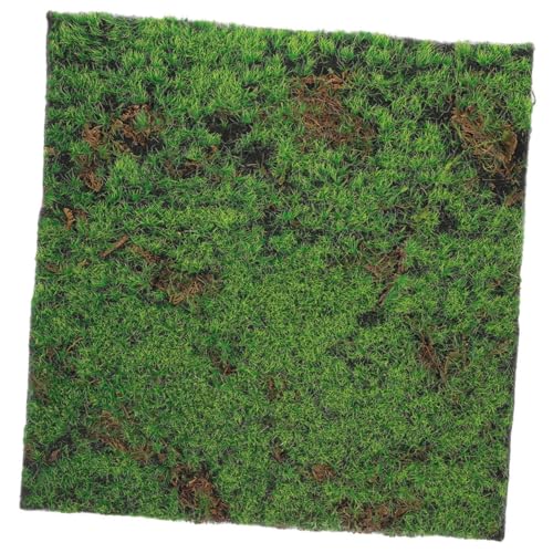 jojofuny Simulation Moos Rasen Bausatz Stabilisator Indoor-Rasen Gefälschter Grasmattenrasen Rutschen Im Freien Broschen Puffbehälter Tiernapfaquarium Teppiche Green Plastik von jojofuny