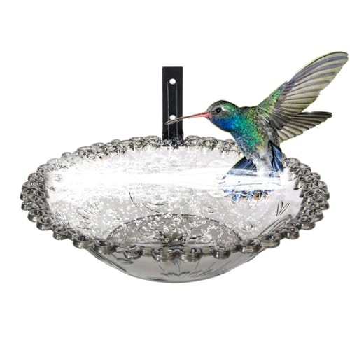 jopiuieo Vogeltränke für den Außenbereich, 22,9 cm, Wandmontage, für den Außenbereich, transparentes hängbares Wasser-Futterbecken, Blumenförmige Statue für Kolibri, , Sittich jopiuieo Vogeltränke für den Außenbereich, 22,9 cm, Wandmontage, für den Außenbereich, transparentes hängbares Wasser-Futterbecken, Blumenförmige Statue für Kolibri, , Sittich von jopiuieo
