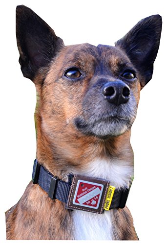 josi.li Schutzhülle für Hundemarke, Hundemarkentasche, Hundemarkentasche für Halsband und Geschirr aus Leder – für Hundemarken bis 28x28mm von josi.li