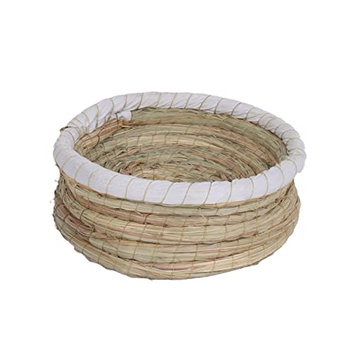 1 x Grasnest Tauben-Vogelnest Bruttei Becken Nest Matte Haustier Taubenzubehör Anti-Rollover Stroh Simulation Vogelhaus 100% Naturfaser Öl Gras hoher Rand Wickelstoff Anti-Rollover 26 cm 1 x Grasnest Tauben-Vogelnest Bruttei Becken Nest Matte Haustier Taubenzubehör Anti-Rollover Stroh Simulation Vogelhaus 100% Naturfaser Öl Gras hoher Rand Wickelstoff Anti-Rollover 26 cm von joyxiwa