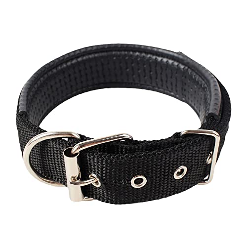 Halsband aus weichem Leder mit Polypropylen-Schaumstoff für Hunde für Welpen, kleine, mittelgroße und große Hunde und Katzen, verstellbare Länge von joyxiwa