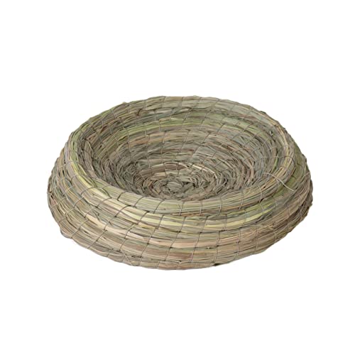 joyxiwa 1 x Grasnest, Tauben-Vogelnest, Schlüpfei, Waschbecken, Nestmatte, Haustier-Taubenzubehör, Anti-Rollover-Stroh, Simulation, Vogelhaus, 100 % Naturfaser, großes Ölgras, Anti-Rollover, 22 cm joyxiwa 1 x Grasnest, Tauben-Vogelnest, Schlüpfei, Waschbecken, Nestmatte, Haustier-Taubenzubehör, Anti-Rollover-Stroh, Simulation, Vogelhaus, 100 % Naturfaser, großes Ölgras, Anti-Rollover, 22 cm von joyxiwa
