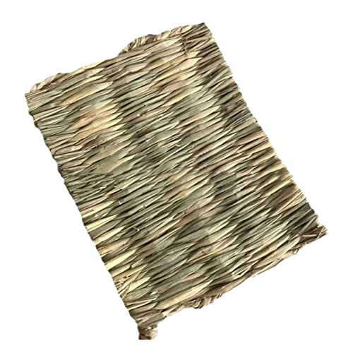 joyxiwa 1 x Grasnest Taubennest Vogelnest Bruting Ei Becken Nest Matte Haustier Taubenzubehör Anti-Rollover Stroh Simulation Vogelhaus 100% Naturfaser Stroh Matte Kleine Größe joyxiwa 1 x Grasnest Taubennest Vogelnest Bruting Ei Becken Nest Matte Haustier Taubenzubehör Anti-Rollover Stroh Simulation Vogelhaus 100% Naturfaser Stroh Matte Kleine Größe von joyxiwa