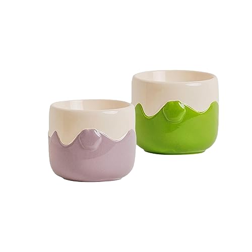 joyxiwa Keramik-Katzennapf zum Schutz der Halswirbelsäule vor Umkippen, große Kapazität, hoher Fuß, Doppelnapf, Haustierfutter-Becken, grün+lila von joyxiwa