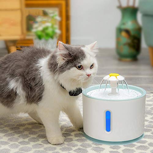 Feeders Intelligente Elektrische Haustier Live Wasserzirkulation Wasserspender LED Leuchtende Automatische Abschaltung Trinkbrunnen Blau Feeders Intelligente Elektrische Haustier Live Wasserzirkulation Wasserspender LED Leuchtende Automatische Abschaltung Trinkbrunnen Blau von jsfdsfhsdjdjgrieurfews