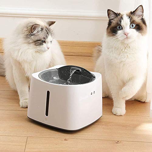 Feeders Smart Pet Water Spenser, Dog Cat Water Spender Fourlayer Filter Automatic Circulation Oxygen Dog Water Dispenser Feeders Smart Pet Water Spenser, Dog Cat Water Spender Fourlayer Filter Automatic Circulation Oxygen Dog Water Dispenser von jsfdsfhsdjdjgrieurfews