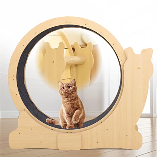 2in1 Laufkatzenrad & Kratzbaum, Indoor-katzenrad Für Das Training Mit Verriegelungsvorrichtung & Leisem Rad, Für Fitness Und Gewichtsverlust, Tragfähigkeit Von 12,5 Kg - in 2 Größen Erhältlich,M 2in1 Laufkatzenrad & Kratzbaum, Indoor-katzenrad Für Das Training Mit Verriegelungsvorrichtung & Leisem Rad, Für Fitness Und Gewichtsverlust, Tragfähigkeit Von 12,5 Kg - in 2 Größen Erhältlich,M von json2xml