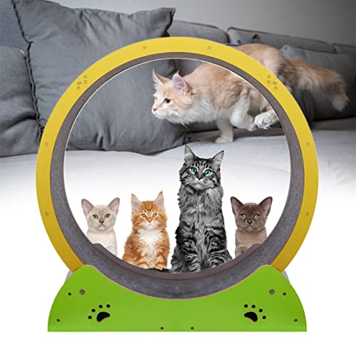 75 cm Katzenlaufband für drinnen, Katzen-Übungslaufrad, für alle Stadien von Katzen bis 15 kg, Haustier-Aktivitätsrad mit leisem Rad und beidseitiger Filzlaufbahn, einfach zu säubern von json2xml