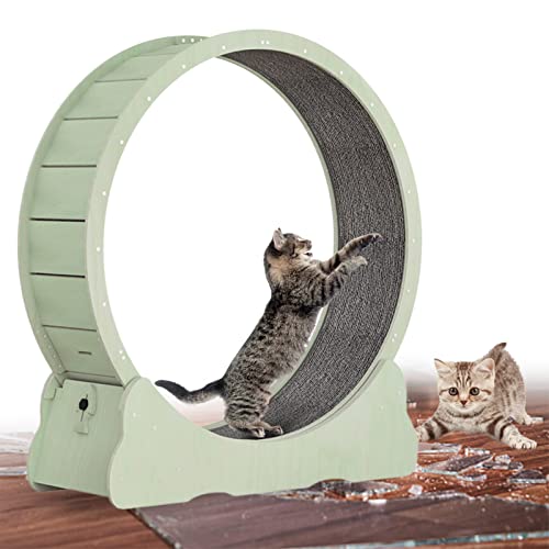 json2xml Großes Cat-laufband,laufrad Für Hauskatzen, Sicherheitsbremse/geräuscharm, Größen Und Farben Optional, Laufrad Zur Gewichtskontrolle Bei Katzen Und Zur Verringerung Von Langeweile,Green-M json2xml Großes Cat-laufband,laufrad Für Hauskatzen, Sicherheitsbremse/geräuscharm, Größen Und Farben Optional, Laufrad Zur Gewichtskontrolle Bei Katzen Und Zur Verringerung Von Langeweile,Green-M von json2xml