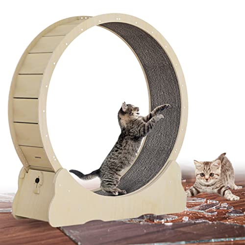 json2xml Großes Cat-laufband,laufrad Für Hauskatzen, Sicherheitsbremse/geräuscharm, Größen Und Farben Optional, Laufrad Zur Gewichtskontrolle Bei Katzen Und Zur Verringerung Von Langeweile,Yellow-XL json2xml Großes Cat-laufband,laufrad Für Hauskatzen, Sicherheitsbremse/geräuscharm, Größen Und Farben Optional, Laufrad Zur Gewichtskontrolle Bei Katzen Und Zur Verringerung Von Langeweile,Yellow-XL von json2xml