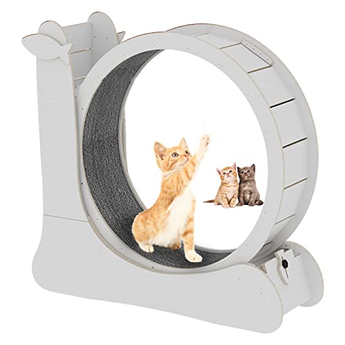 json2xml Großes Katzen Trainingsrad Mit Katzenkratzmatte,Holz Katzenlaufband Mit Geringem Geräuschpegel&Sicherheitsbremse Für Katzen&Kleine Hunde Aller Stufen Bis 7,5Kg-6 Farben Erhältlich,White json2xml Großes Katzen Trainingsrad Mit Katzenkratzmatte,Holz Katzenlaufband Mit Geringem Geräuschpegel&Sicherheitsbremse Für Katzen&Kleine Hunde Aller Stufen Bis 7,5Kg-6 Farben Erhältlich,White von json2xml