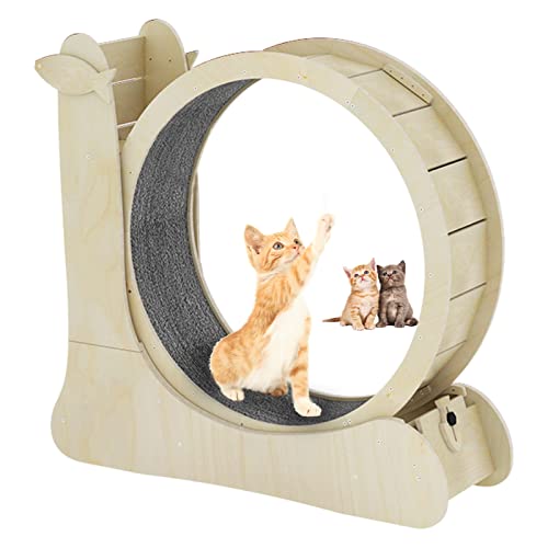 json2xml Großes Katzen Trainingsrad Mit Katzenkratzmatte,Holz Katzenlaufband Mit Geringem Geräuschpegel&Sicherheitsbremse Für Katzen&Kleine Hunde Aller Stufen Bis 7,5Kg-6 Farben Erhältlich,Yellow json2xml Großes Katzen Trainingsrad Mit Katzenkratzmatte,Holz Katzenlaufband Mit Geringem Geräuschpegel&Sicherheitsbremse Für Katzen&Kleine Hunde Aller Stufen Bis 7,5Kg-6 Farben Erhältlich,Yellow von json2xml