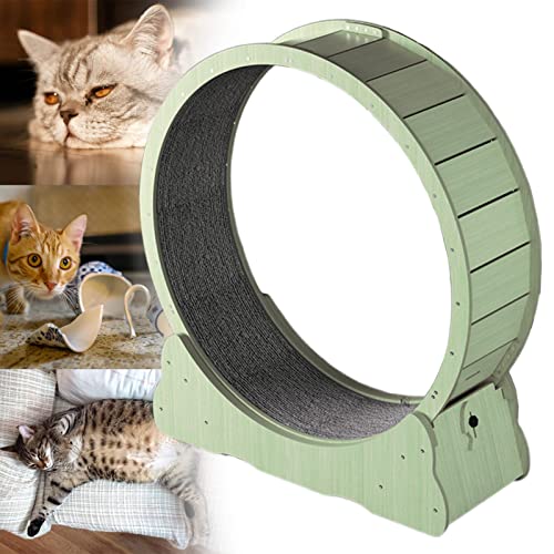 Großes Laufrad für Katzen, geräuschloses Katzenlaufrad für den Innenbereich, Sicherheitsschloss-Design und einfache Installation, Verschiedene 3 Farben und 4 Größen erhältlich,Green-XL von json2xml