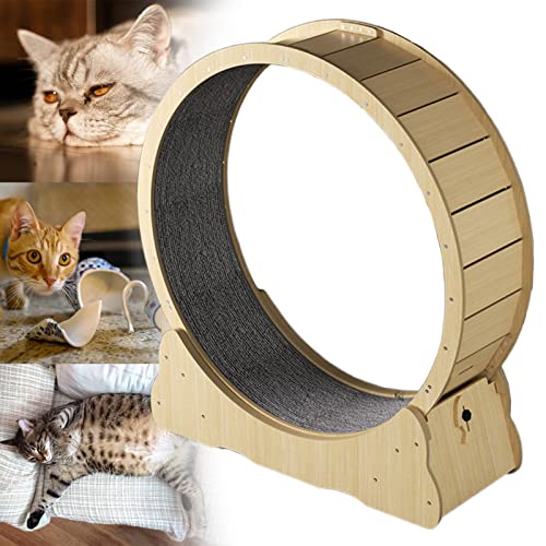 Großes Laufrad für Katzen, geräuschloses Katzenlaufrad für den Innenbereich, Sicherheitsschloss-Design und einfache Installation, Verschiedene 3 Farben und 4 Größen erhältlich,Yellow-XL von json2xml