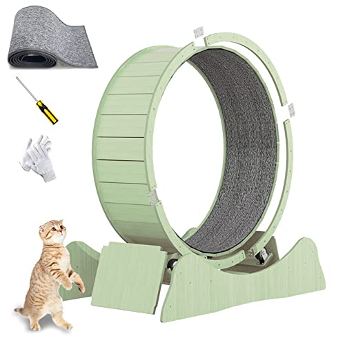 json2xml Indoor Katzenlaufband,Ersatzpad Enthalten, Laufradverriegelung|Geräuschreduzierendes Rad,Katzenlaufband Zum Abnehmen Und Spielen,Kompatibel Mit Den Meisten Katzen,Green-M json2xml Indoor Katzenlaufband,Ersatzpad Enthalten, Laufradverriegelung|Geräuschreduzierendes Rad,Katzenlaufband Zum Abnehmen Und Spielen,Kompatibel Mit Den Meisten Katzen,Green-M von json2xml