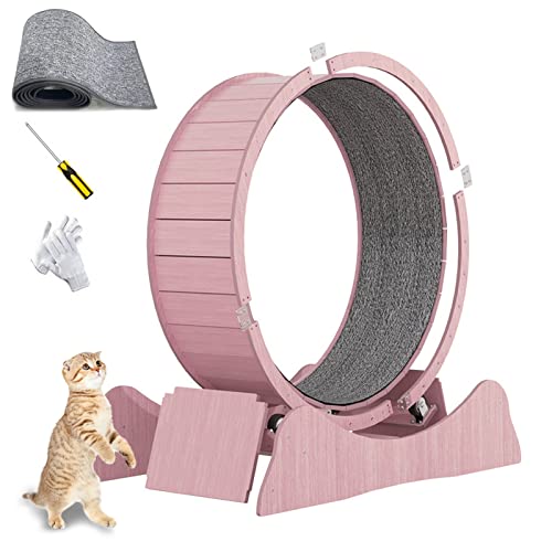 json2xml Indoor Katzenlaufband,Ersatzpad Enthalten, Laufradverriegelung|Geräuschreduzierendes Rad,Katzenlaufband Zum Abnehmen Und Spielen,Kompatibel Mit Den Meisten Katzen,Pink-L json2xml Indoor Katzenlaufband,Ersatzpad Enthalten, Laufradverriegelung|Geräuschreduzierendes Rad,Katzenlaufband Zum Abnehmen Und Spielen,Kompatibel Mit Den Meisten Katzen,Pink-L von json2xml