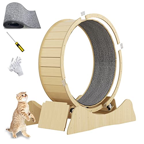 json2xml Indoor Katzenlaufband,Ersatzpad Enthalten, Laufradverriegelung|Geräuschreduzierendes Rad,Katzenlaufband Zum Abnehmen Und Spielen,Kompatibel Mit Den Meisten Katzen,Yellow-M json2xml Indoor Katzenlaufband,Ersatzpad Enthalten, Laufradverriegelung|Geräuschreduzierendes Rad,Katzenlaufband Zum Abnehmen Und Spielen,Kompatibel Mit Den Meisten Katzen,Yellow-M von json2xml