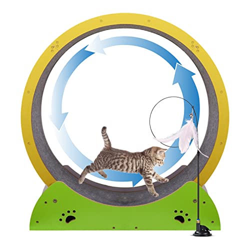 json2xml Indoor-farbkatzentrainingsrad, Großer 75 cm Katzenlaufband-Übungsgerät Für Fitness Und Gesundheit, Katzenlaufband Für Bis Zu 15 Kg, Mit Teppichbahn | Leises Rad| Vertikales Katzenspielzeug json2xml Indoor-farbkatzentrainingsrad, Großer 75 cm Katzenlaufband-Übungsgerät Für Fitness Und Gesundheit, Katzenlaufband Für Bis Zu 15 Kg, Mit Teppichbahn | Leises Rad| Vertikales Katzenspielzeug von json2xml