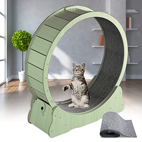 Katzen Laufband Für Drinnen,Katzen Trainingsrad,Verriegelungsmechanismus|Austauschbare Laufmatte,Leises Tragbares Katzen Laufband Zum Abnehmen Oder Zur Erhaltung,4 Größen/3 Farboptionen,Green-XL Katzen Laufband Für Drinnen,Katzen Trainingsrad,Verriegelungsmechanismus|Austauschbare Laufmatte,Leises Tragbares Katzen Laufband Zum Abnehmen Oder Zur Erhaltung,4 Größen/3 Farboptionen,Green-XL von json2xml
