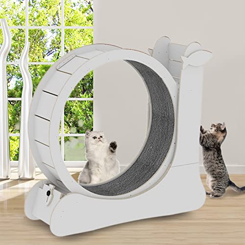 json2xml Katzen-Laufband für drinnen, 2 in 1 Katzen-Kratzbaum & Haustier-Aktivitätsrad-Spielzeug, Holz-Großkatzen-Laufband - Sicherheitssperre - Austauschbare Laufstreckenmatte, 35,8 Zoll,White json2xml Katzen-Laufband für drinnen, 2 in 1 Katzen-Kratzbaum & Haustier-Aktivitätsrad-Spielzeug, Holz-Großkatzen-Laufband - Sicherheitssperre - Austauschbare Laufstreckenmatte, 35,8 Zoll,White von json2xml