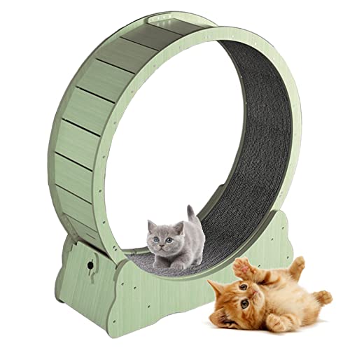 json2xml Katzen-Übungslaufband, leises Katzen-Laufband mit Sicherheitsbremse & Teppich laufsteg, Stufen von Katzen zum Üben, mehrere Farb- / Größenoptionen,Green-L von json2xml