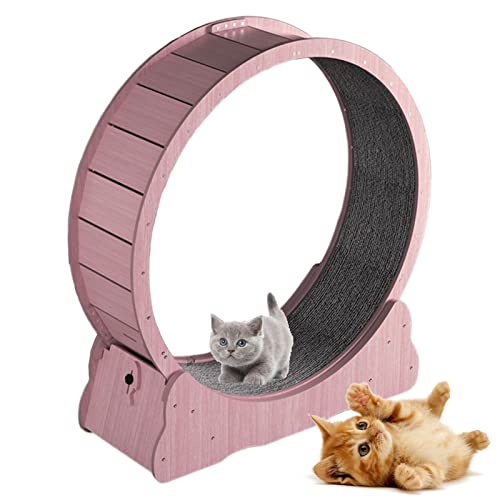 Katzen-Übungslaufband, leises Katzen-Laufband mit Sicherheitsbremse & Teppich laufsteg, Stufen von Katzen zum Üben, mehrere Farb- / Größenoptionen,Pink-L von json2xml