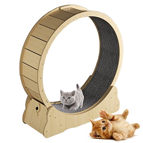 json2xml Katzen-Übungslaufband, leises Katzen-Laufband mit Sicherheitsbremse & Teppich laufsteg, Stufen von Katzen zum Üben, mehrere Farb- / Größenoptionen,Yellow-L json2xml Katzen-Übungslaufband, leises Katzen-Laufband mit Sicherheitsbremse & Teppich laufsteg, Stufen von Katzen zum Üben, mehrere Farb- / Größenoptionen,Yellow-L von json2xml