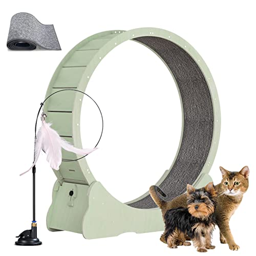 json2xml Katzenlaufband mit Katzenspielzeug, Katzenlaufband-Übungsrad für Innenkatzen, 30-39,3-Zoll-Katzenlaufband für Innenkatzen, passt zu den meisten körperlichen von Katzen - Größe/Farbe,Green-L json2xml Katzenlaufband mit Katzenspielzeug, Katzenlaufband-Übungsrad für Innenkatzen, 30-39,3-Zoll-Katzenlaufband für Innenkatzen, passt zu den meisten körperlichen von Katzen - Größe/Farbe,Green-L von json2xml