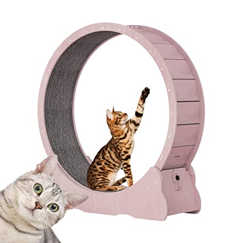 Laufrad für Katzen, Laufband für Katzen – Abstand 6 mm (Keine Pfotenverletzung), Laufrad für Katzen im Innenbereich, Sicherheitsschloss-Design/geräuscharm,3 Farben und 4 Größen optional,Pink-L von json2xml