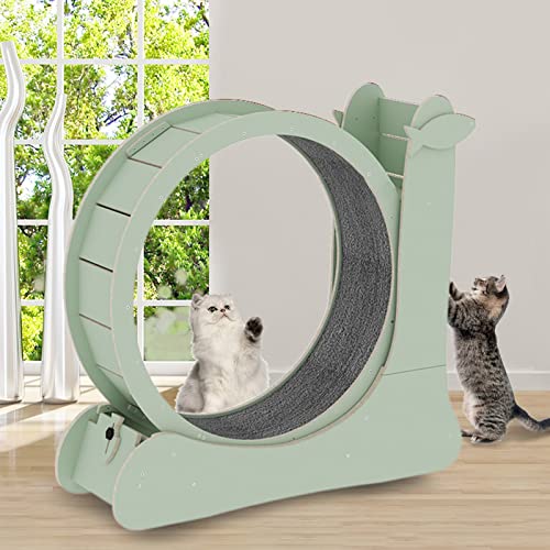 json2xml Katzen-Laufband für drinnen, 2 in 1 Katzen-Kratzbaum & Haustier-Aktivitätsrad-Spielzeug, Holz-Großkatzen-Laufband - Sicherheitssperre - Austauschbare Laufstreckenmatte, 35,8 Zoll,Green json2xml Katzen-Laufband für drinnen, 2 in 1 Katzen-Kratzbaum & Haustier-Aktivitätsrad-Spielzeug, Holz-Großkatzen-Laufband - Sicherheitssperre - Austauschbare Laufstreckenmatte, 35,8 Zoll,Green von json2xml